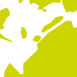 Alicante, un plan contigo